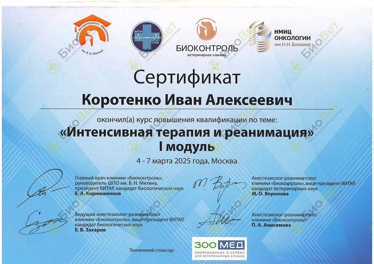 Документ или сертификат