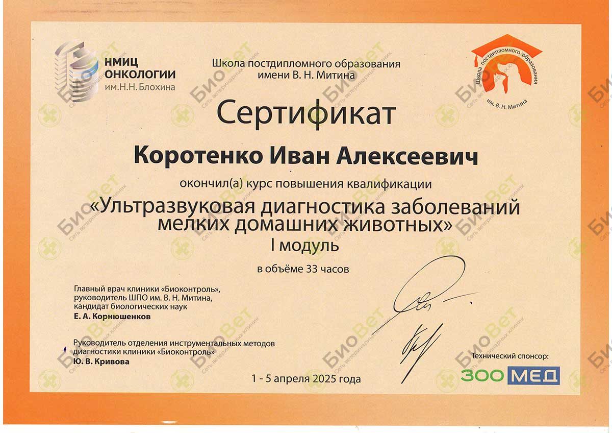 Документ или сертификат