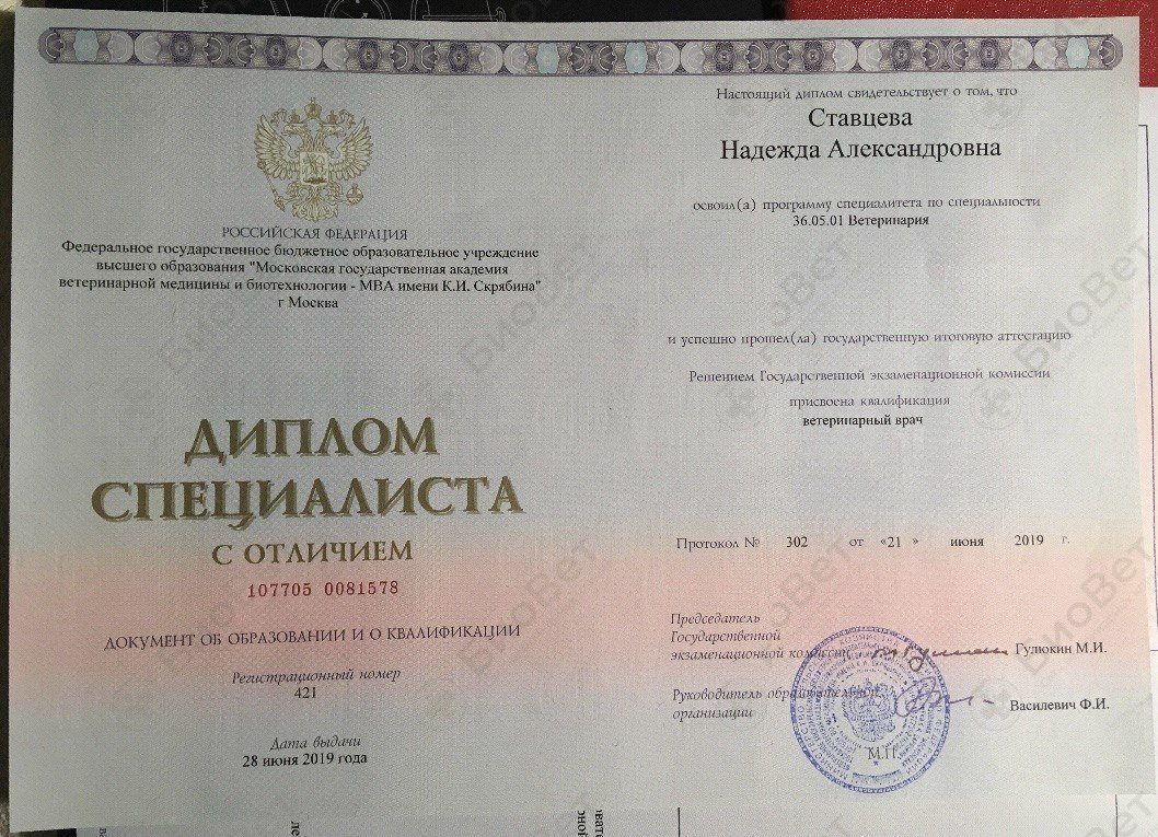Документ или сертификат