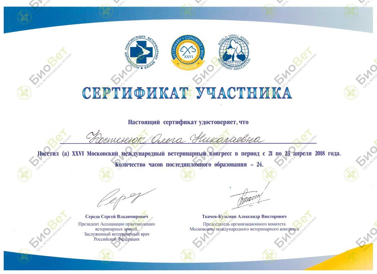 Документ или сертификат