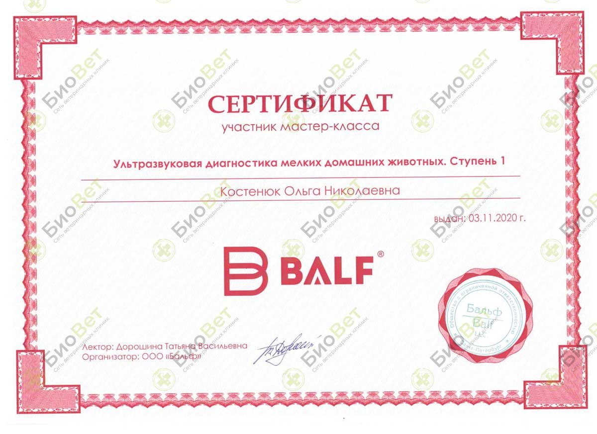 Документ или сертификат
