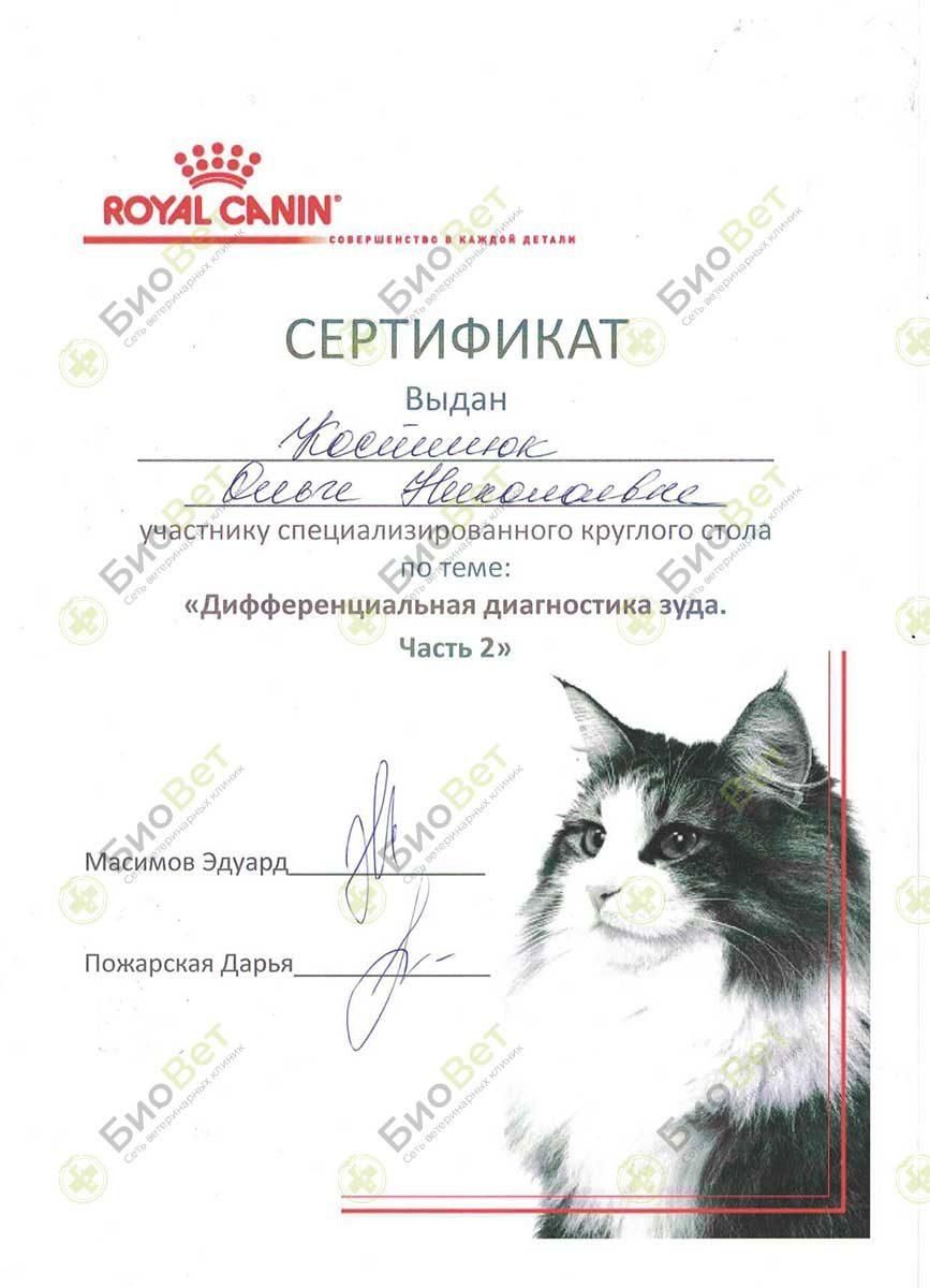 Документ или сертификат