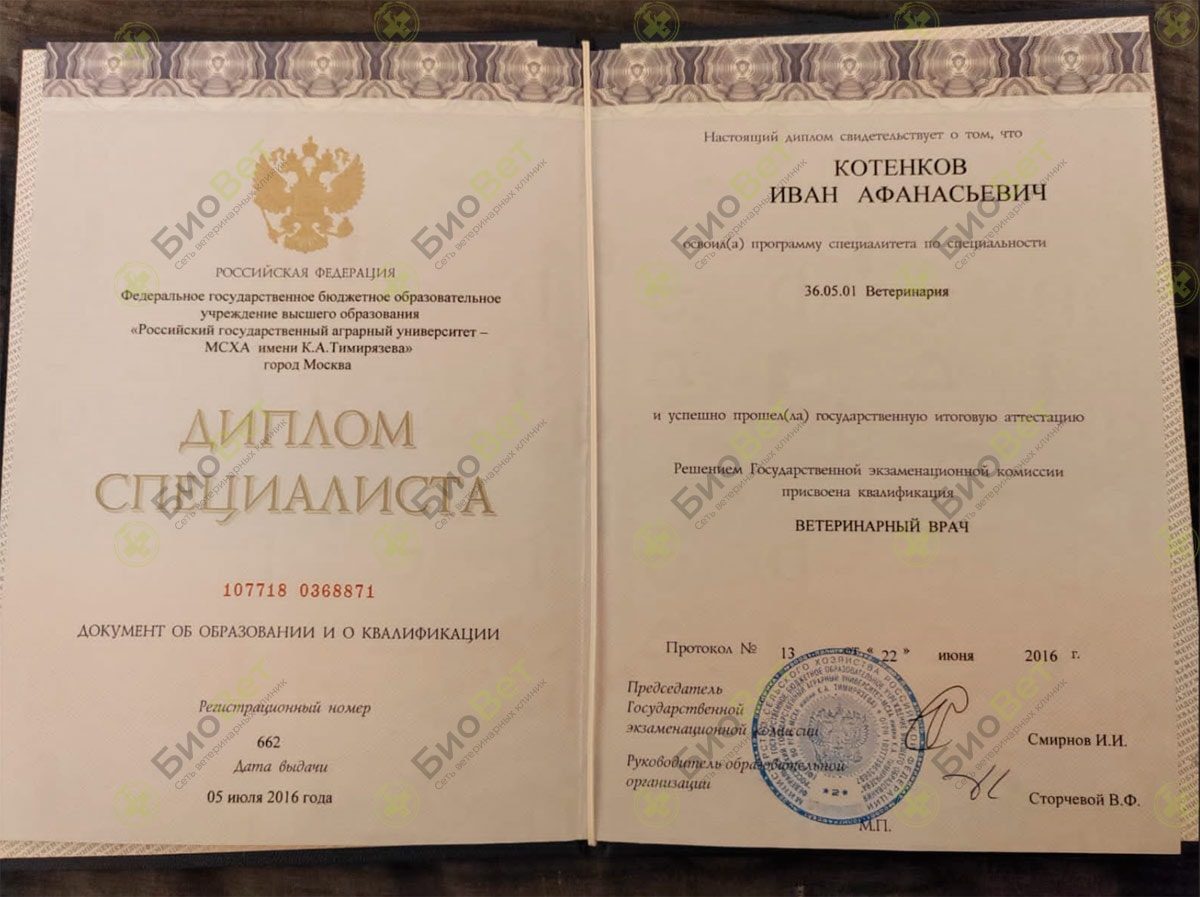 Документ или сертификат