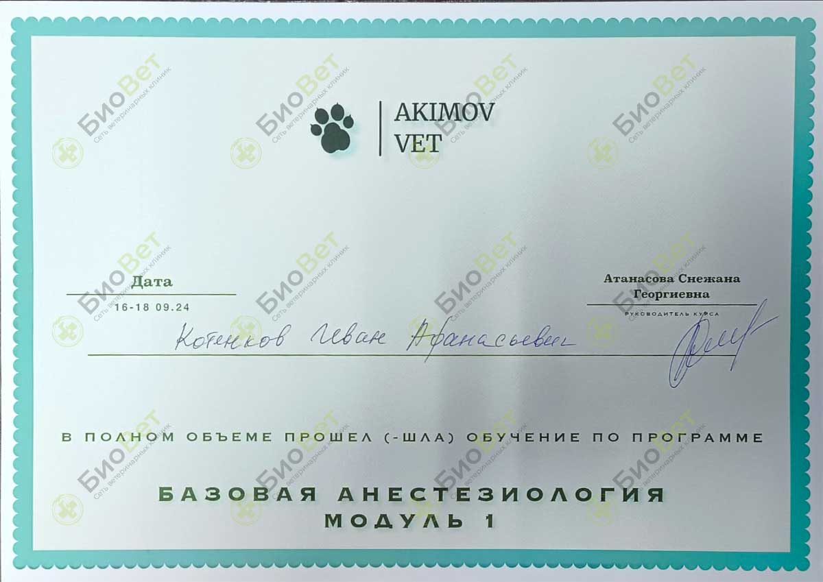 Документ или сертификат