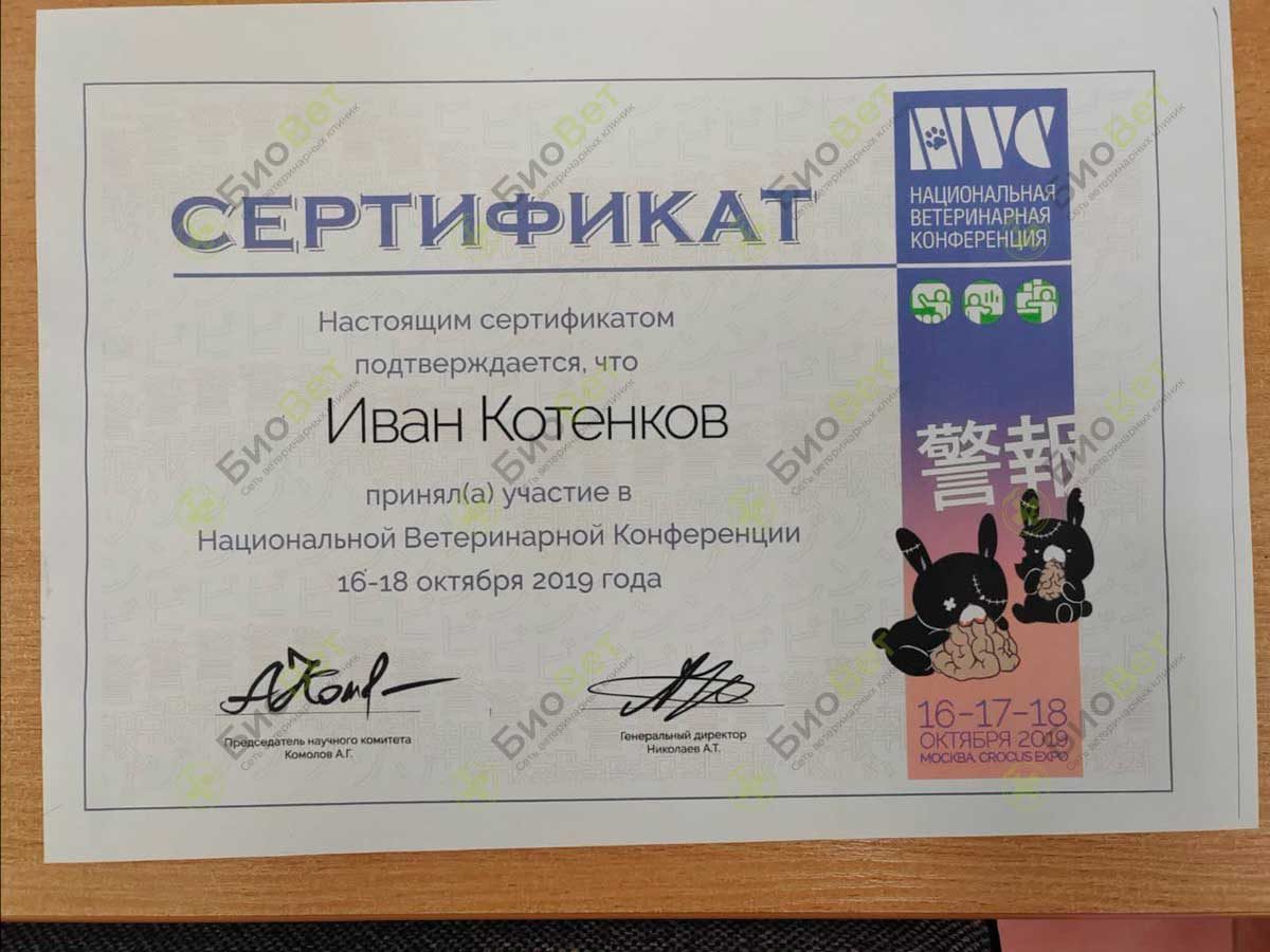 Документ или сертификат