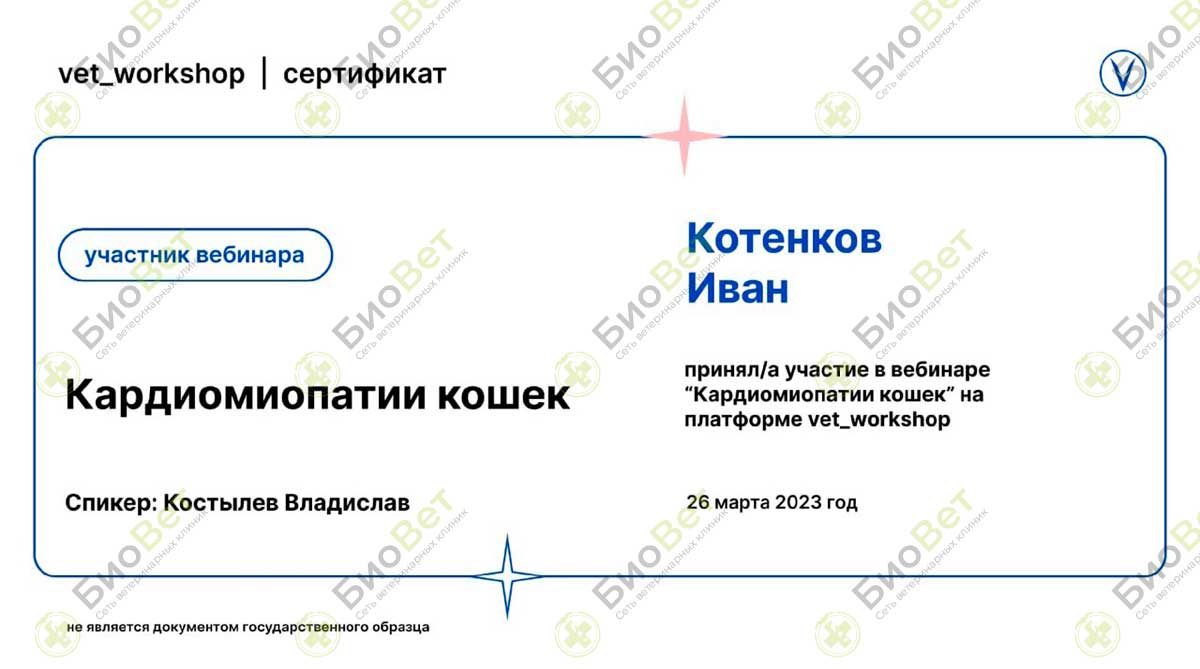 Документ или сертификат