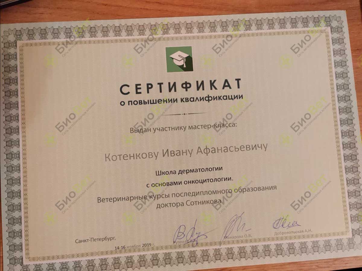 Документ или сертификат
