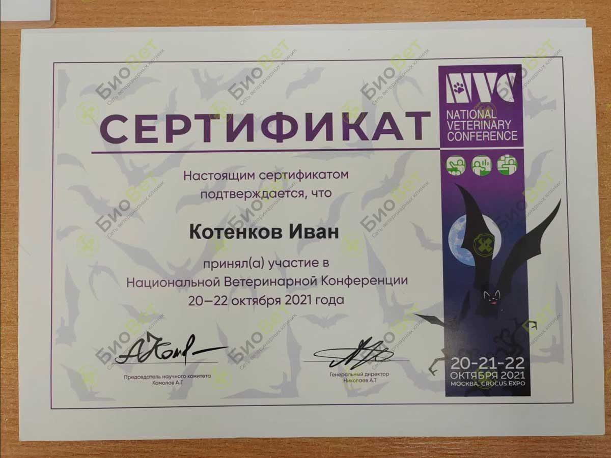 Документ или сертификат