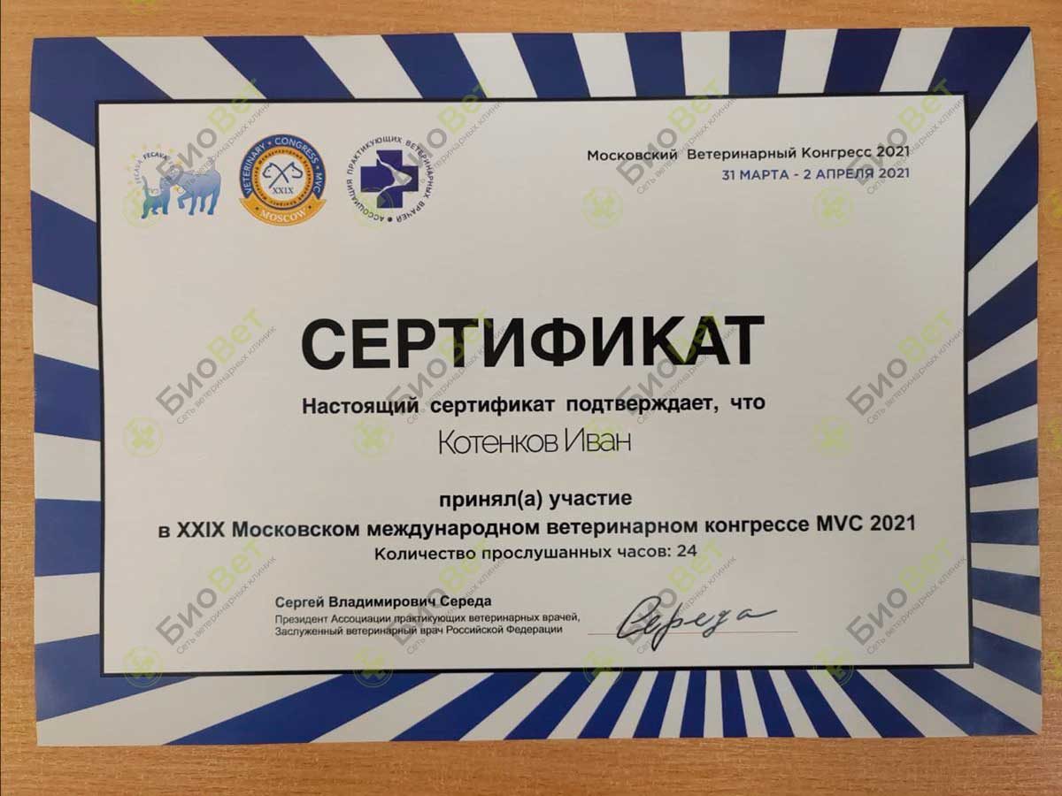 Документ или сертификат