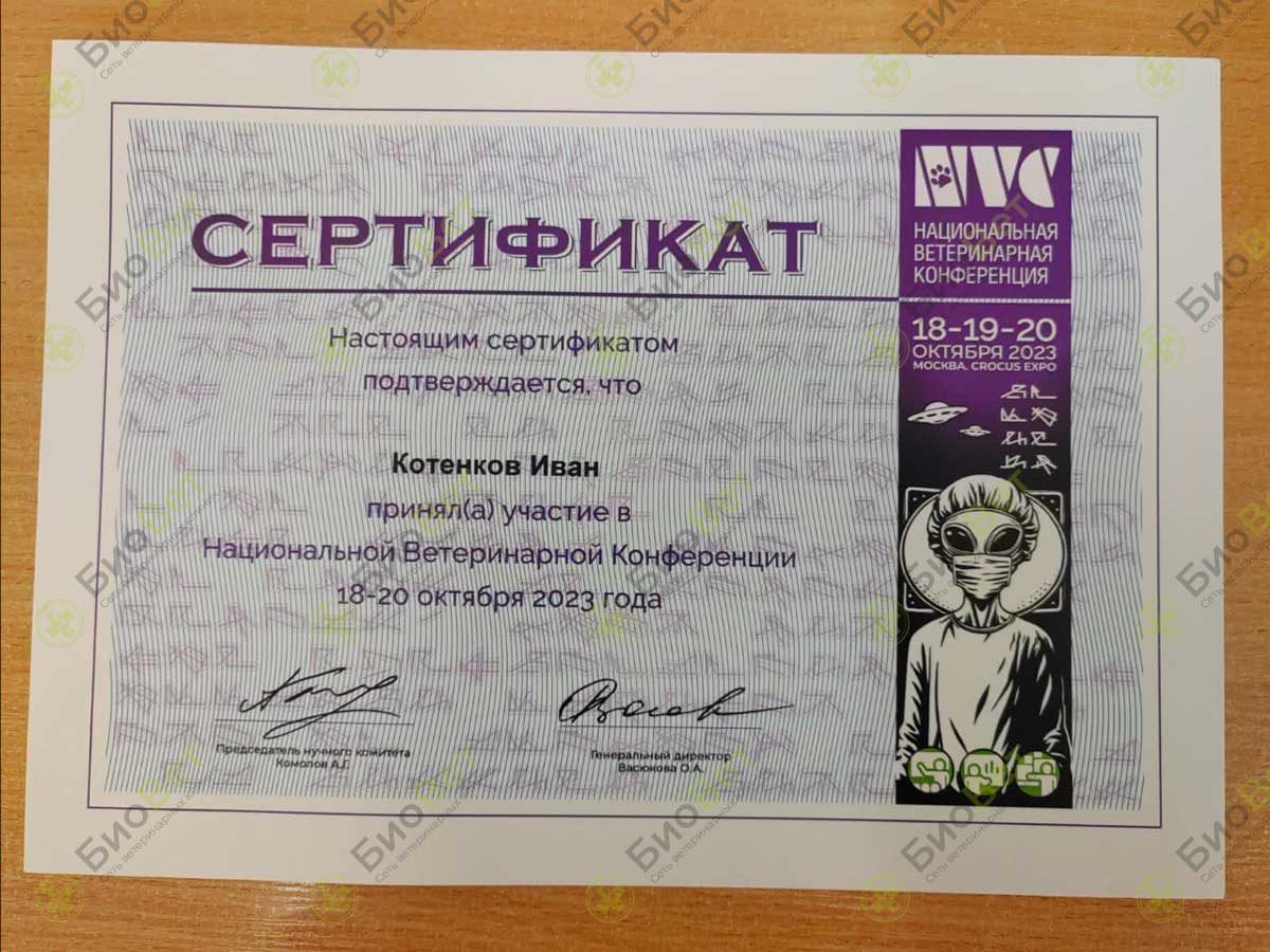Документ или сертификат