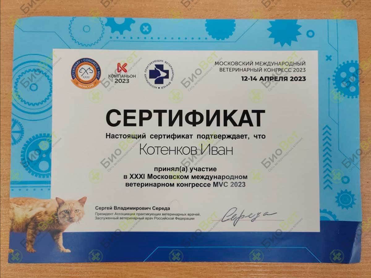 Документ или сертификат