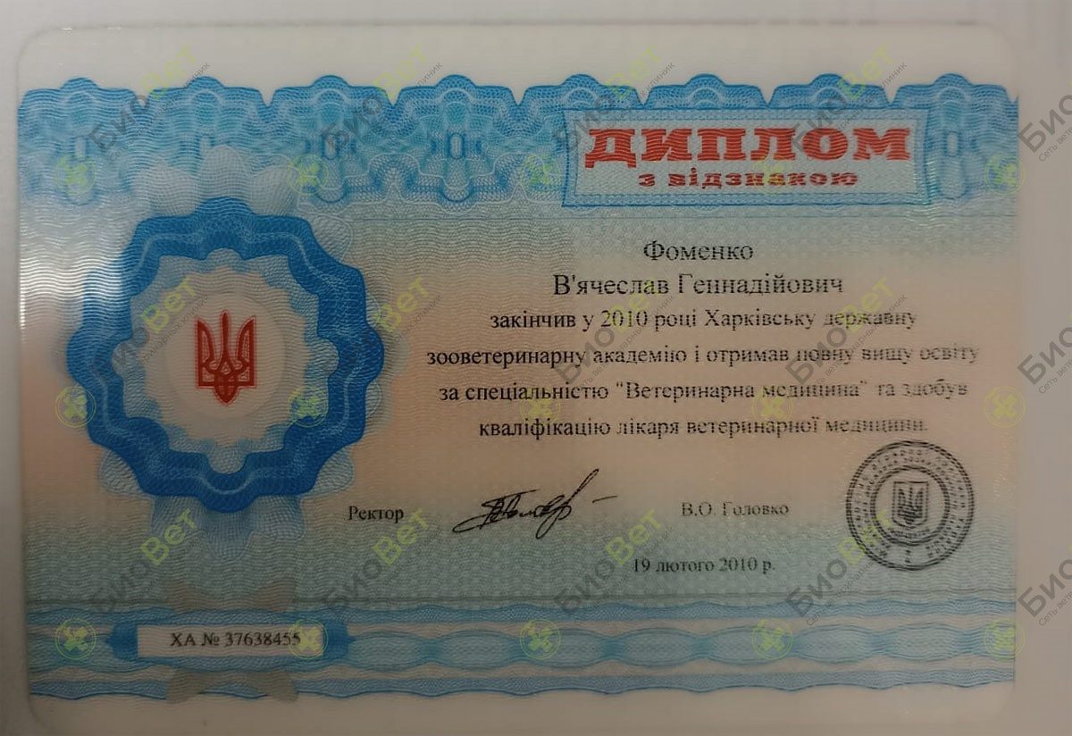 Документ или сертификат