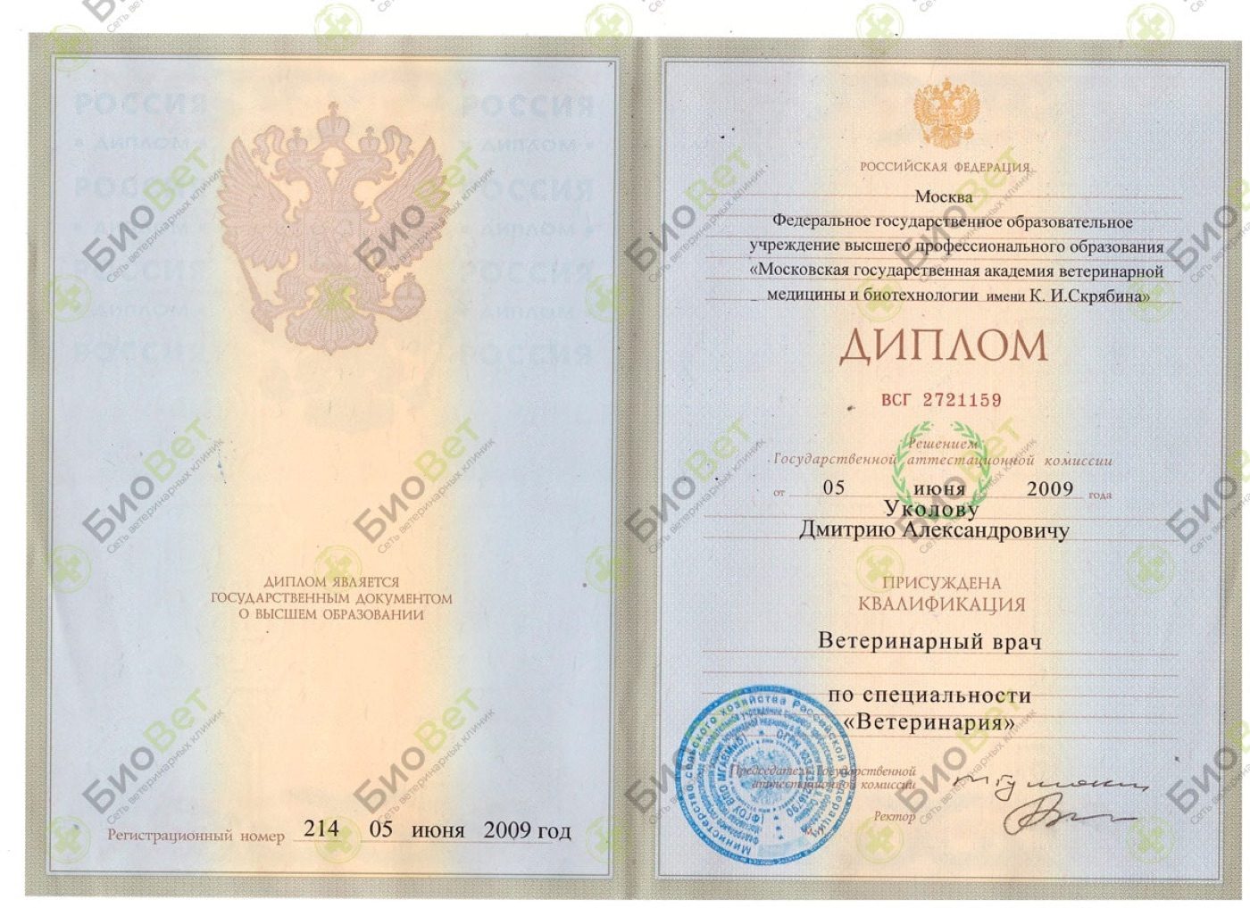 Документ или сертификат