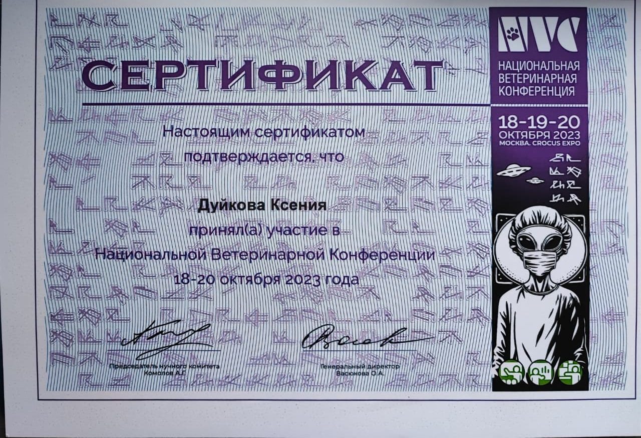 Документ или сертификат