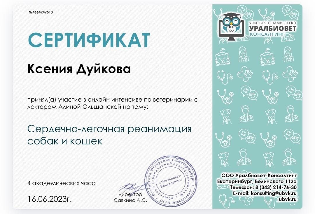 Документ или сертификат