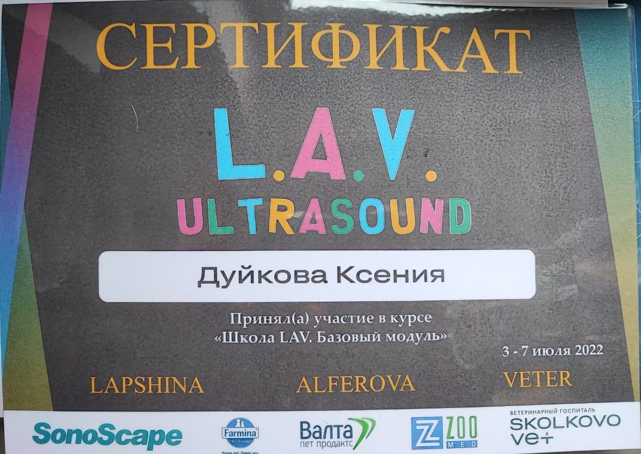 Документ или сертификат