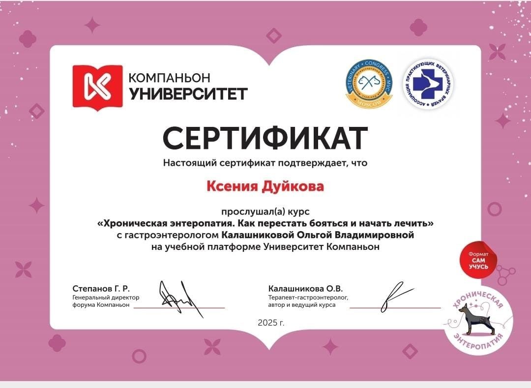 Документ или сертификат