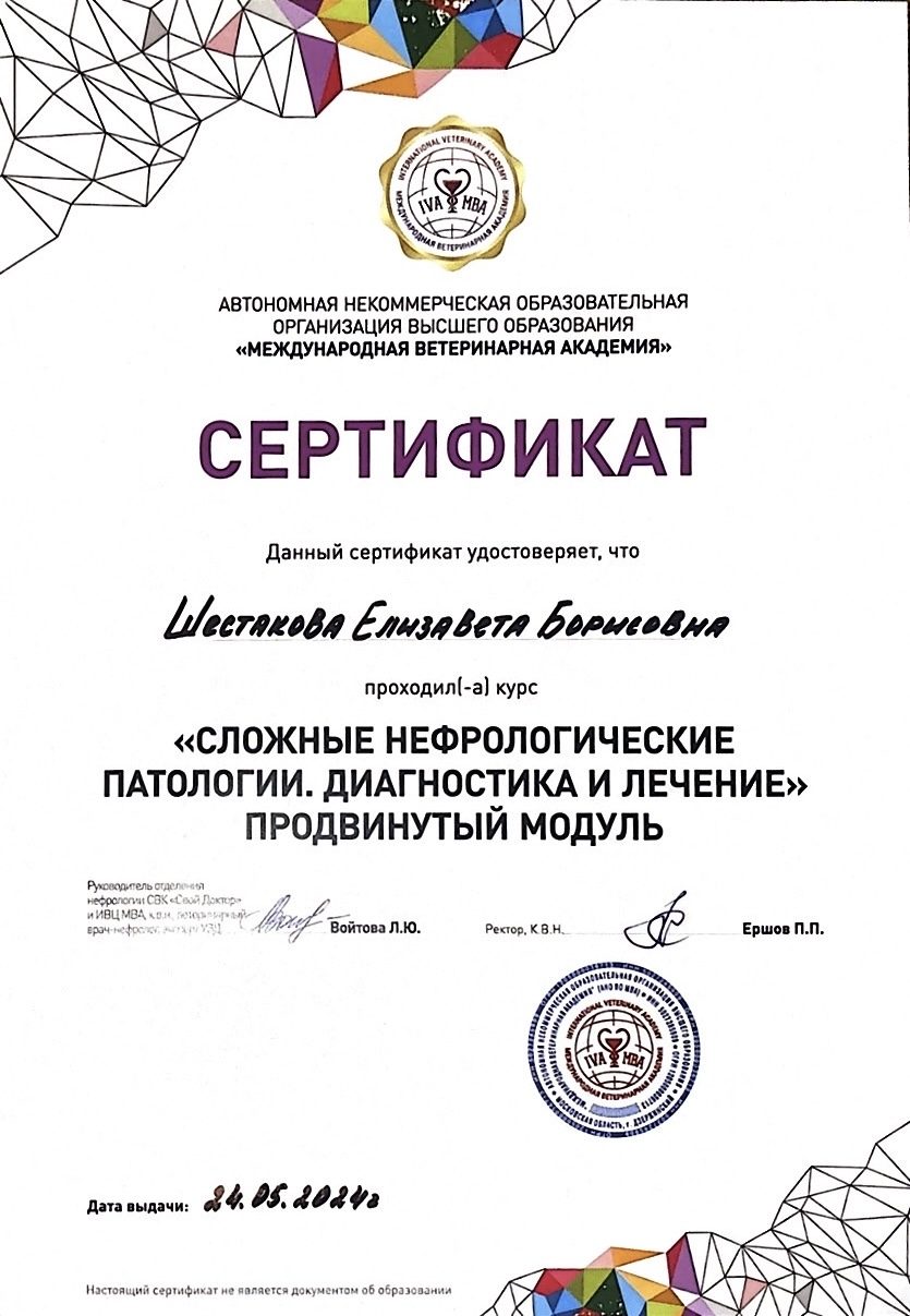 Документ или сертификат