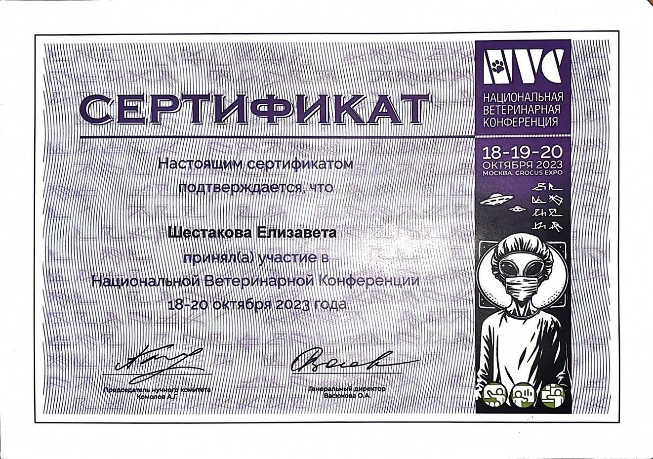 Документ или сертификат