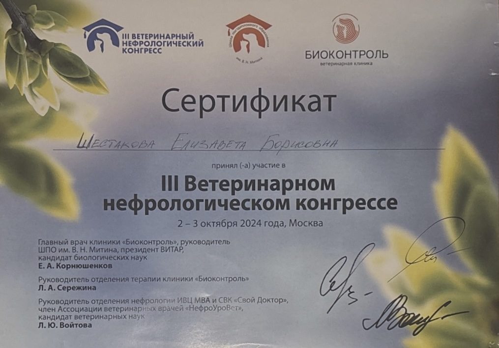 Документ или сертификат