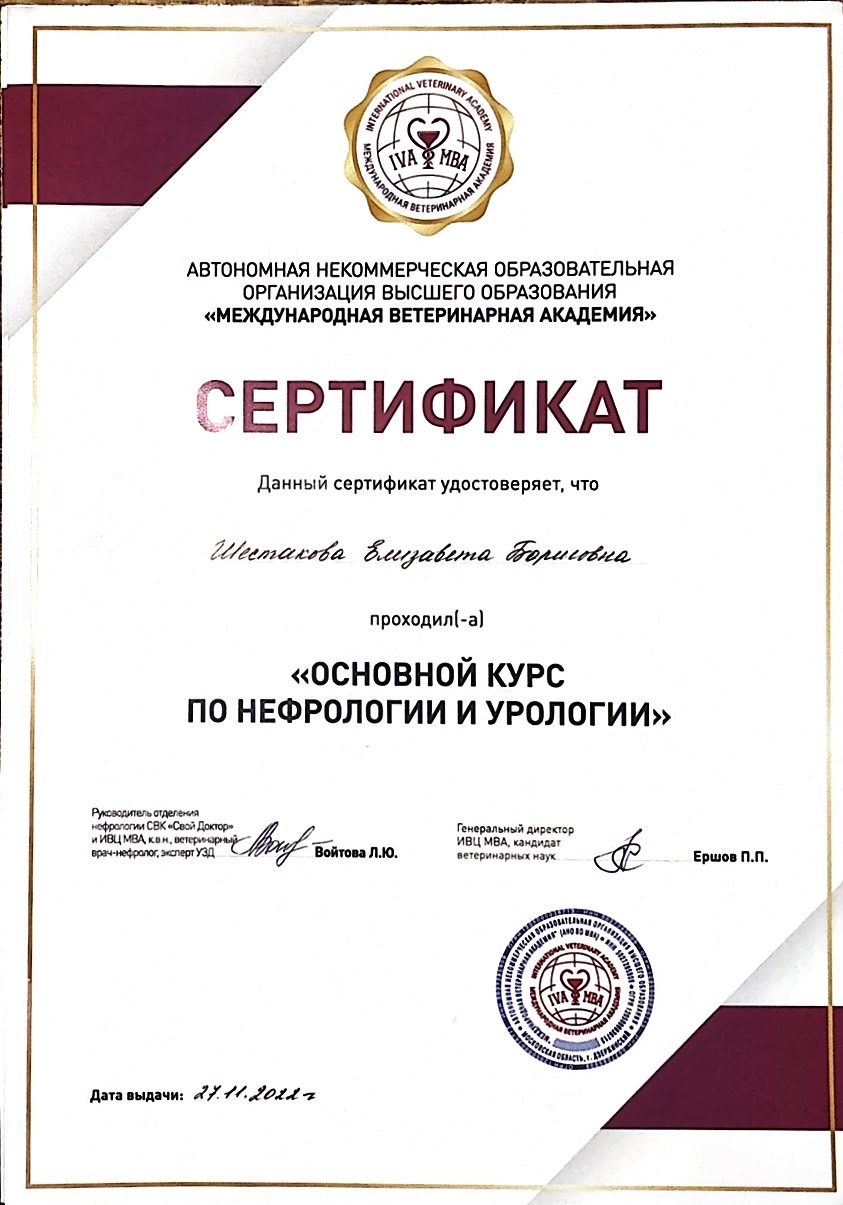 Документ или сертификат