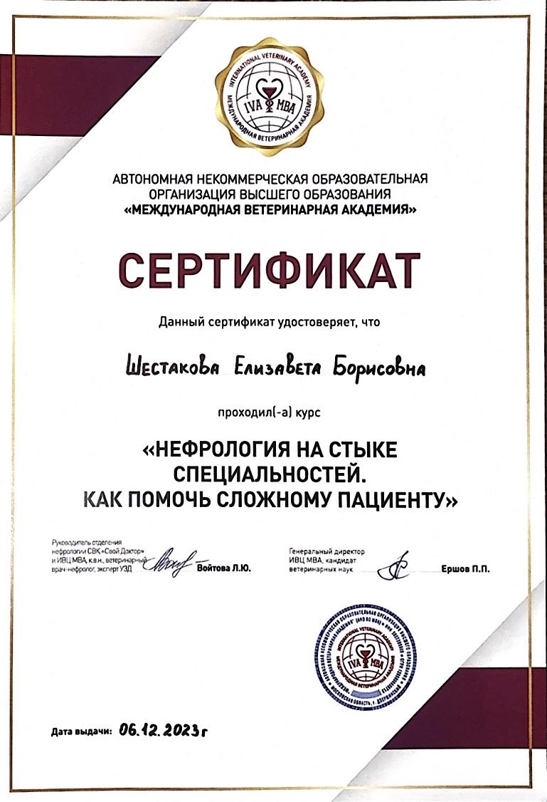 Документ или сертификат