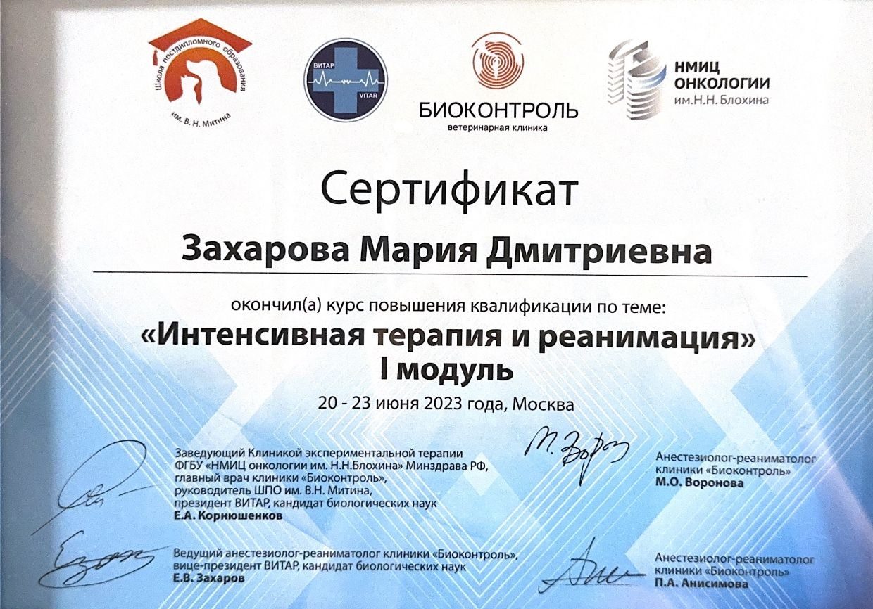 Документ или сертификат