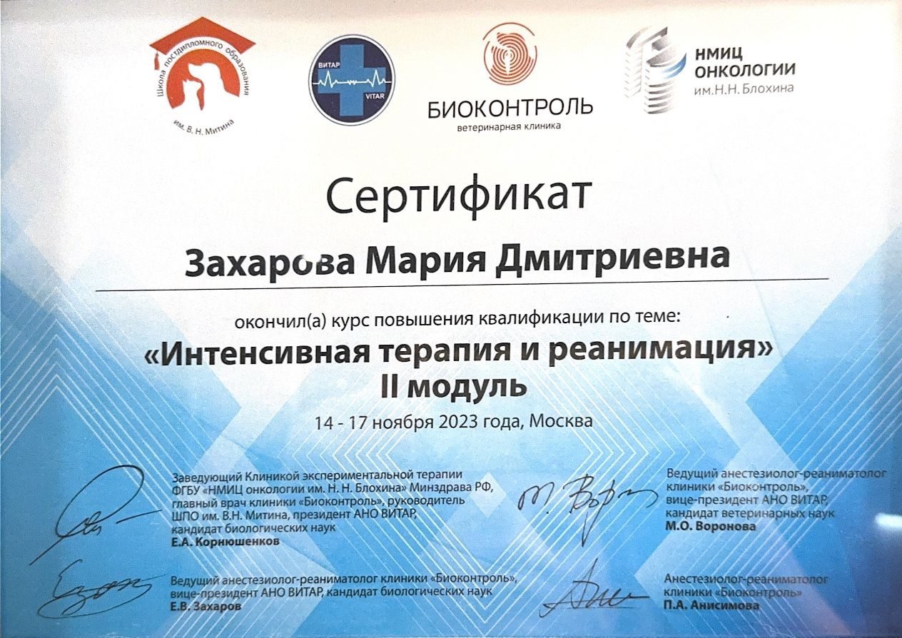 Документ или сертификат