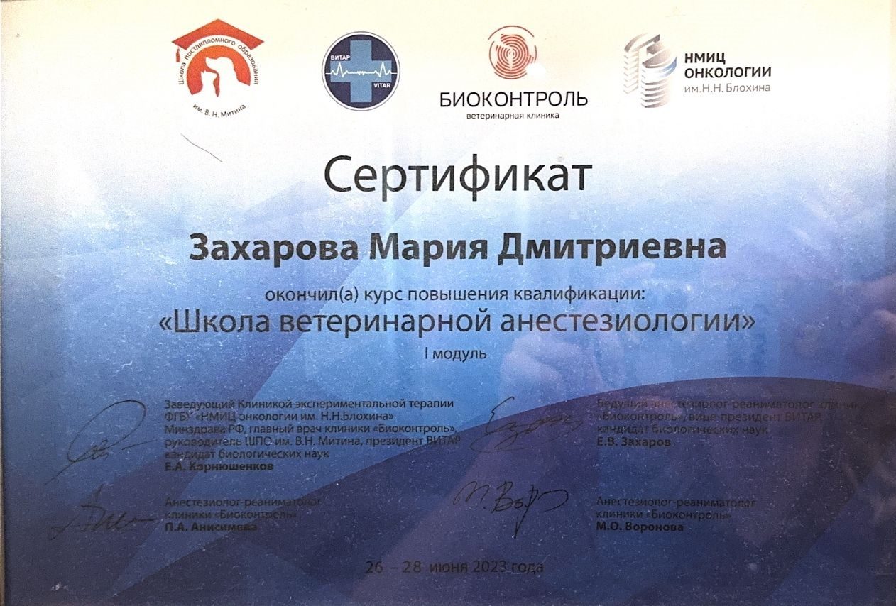 Документ или сертификат