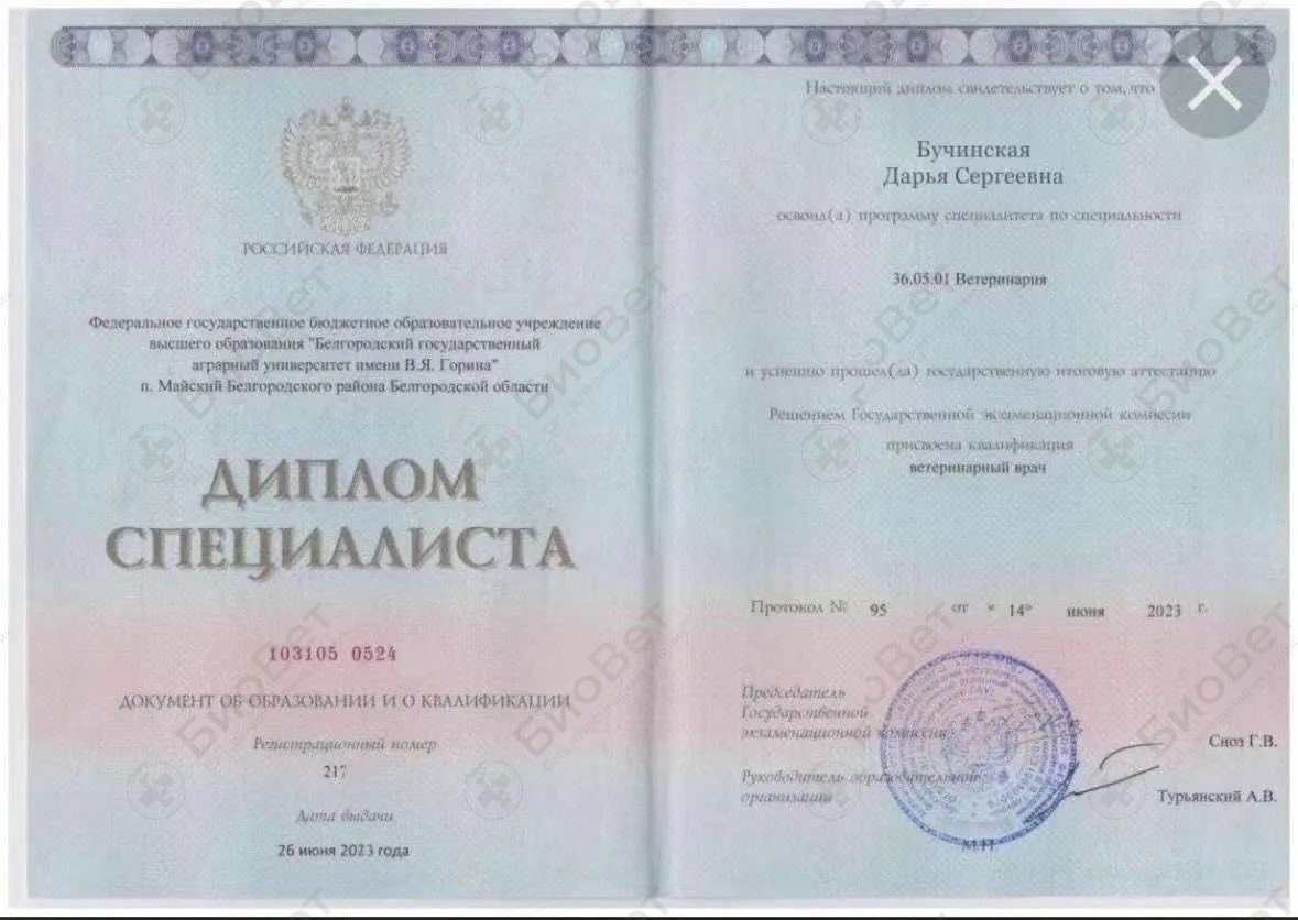 Документ или сертификат