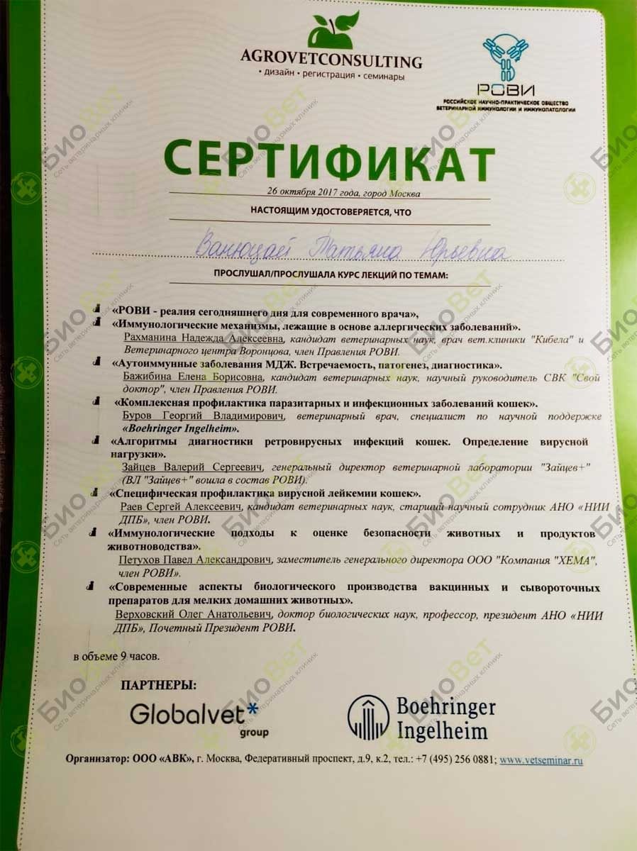 Документ или сертификат