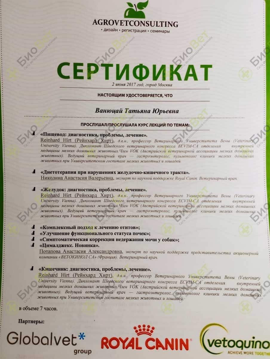 Документ или сертификат