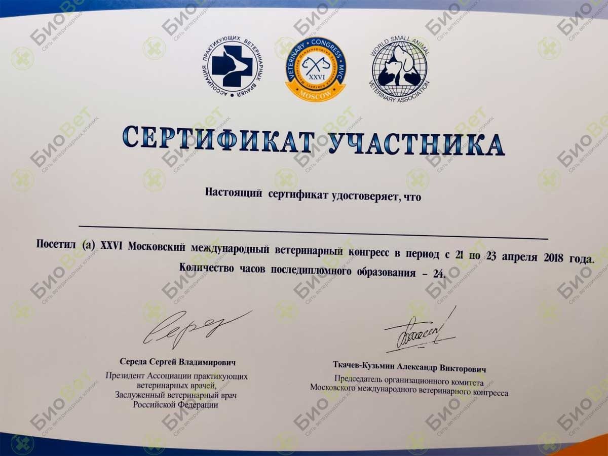 Документ или сертификат