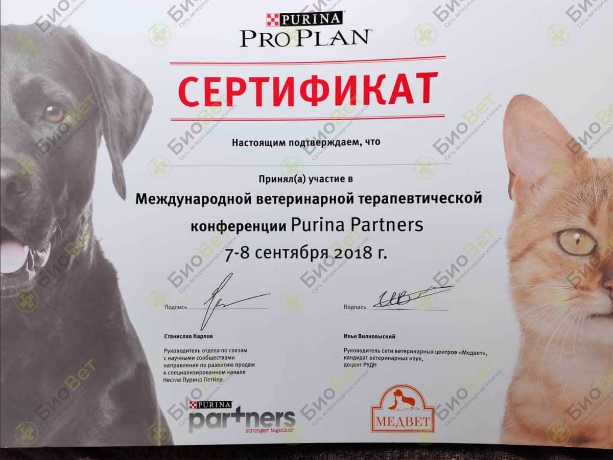 Документ или сертификат
