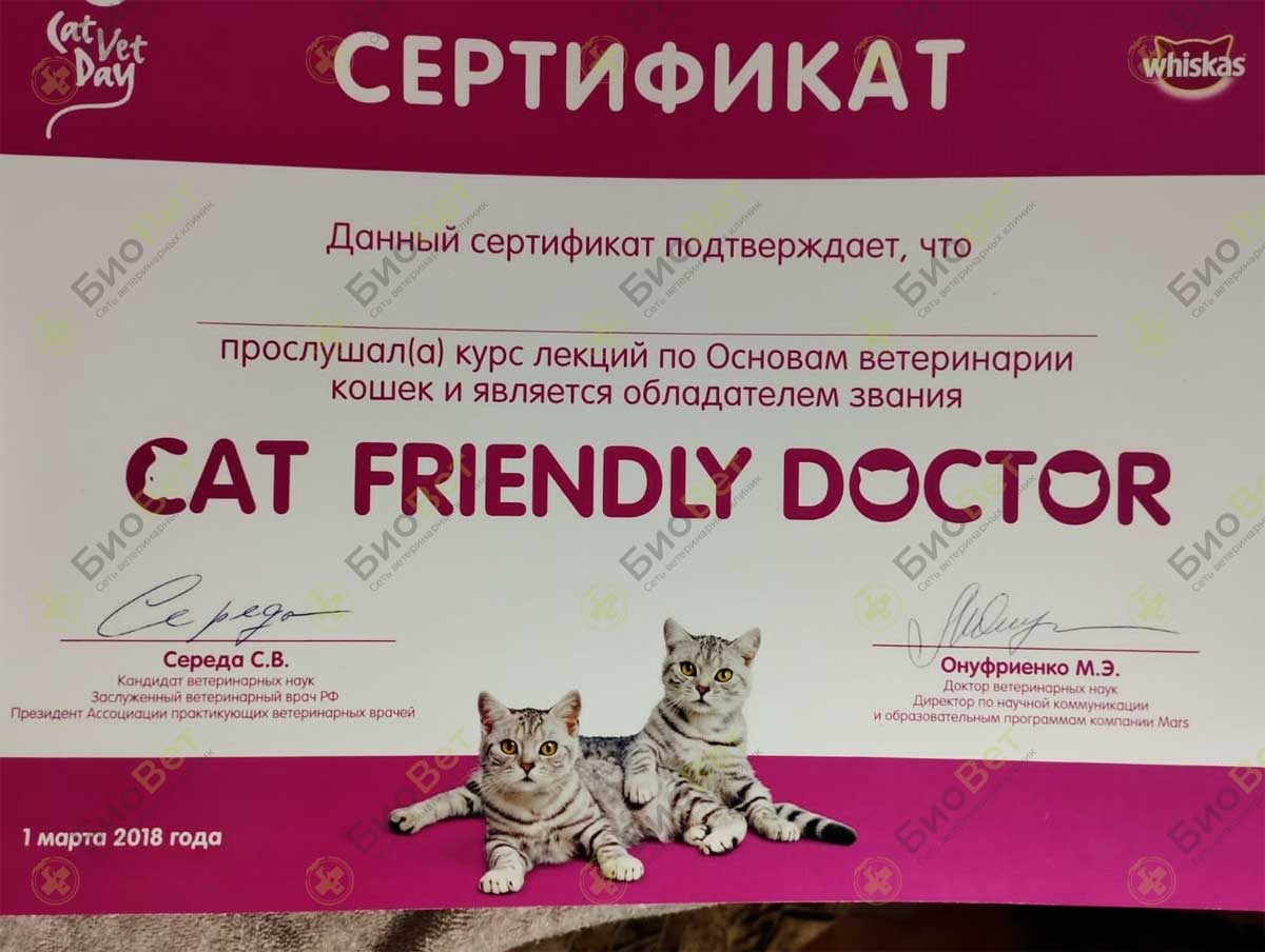 Документ или сертификат