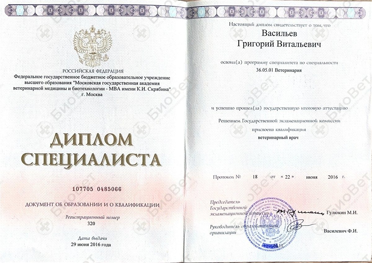 Документ или сертификат