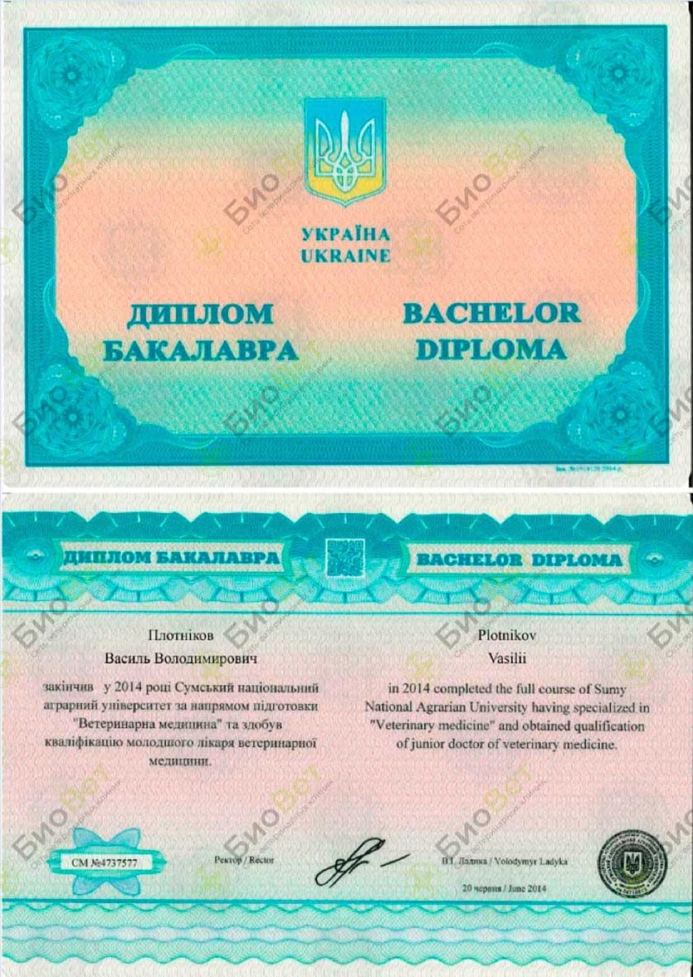 Документ или сертификат