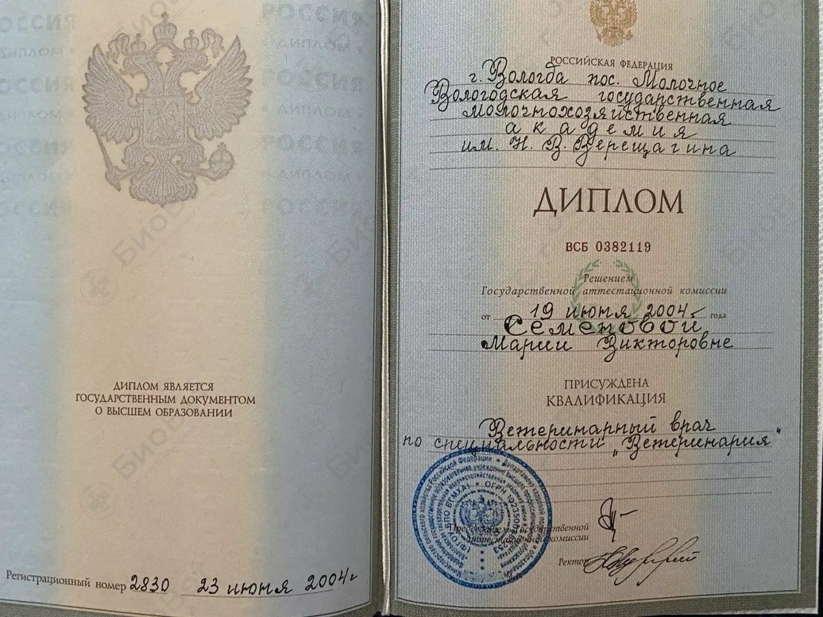 Документ или сертификат