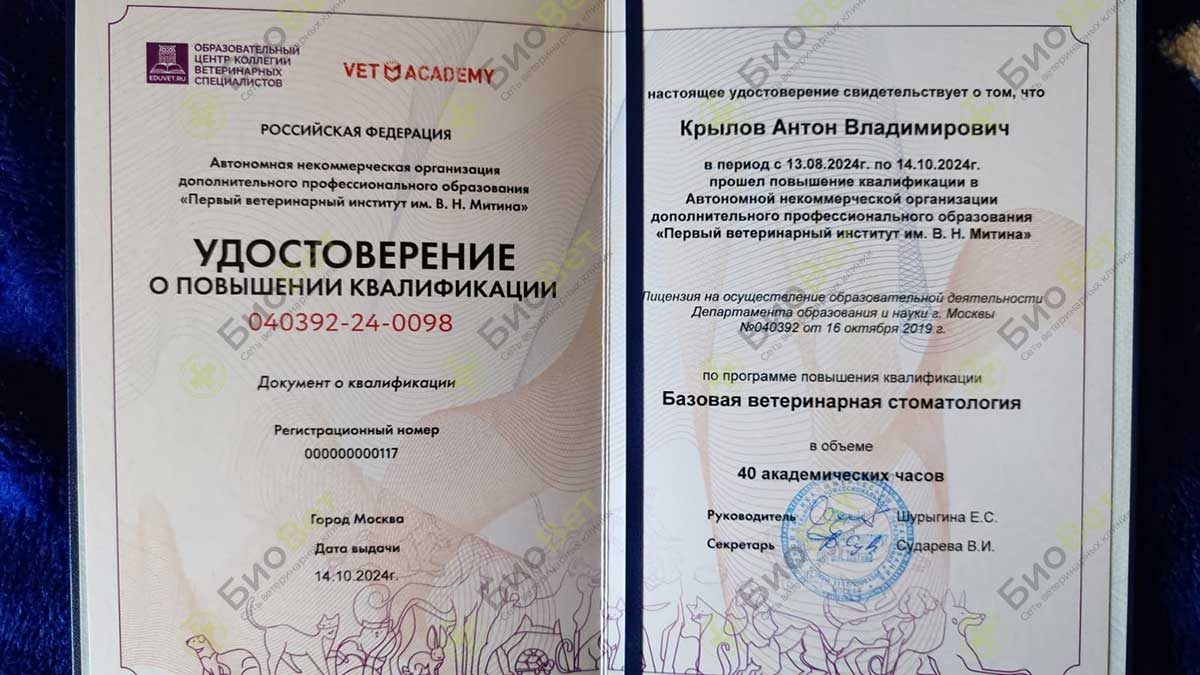 Документ или сертификат