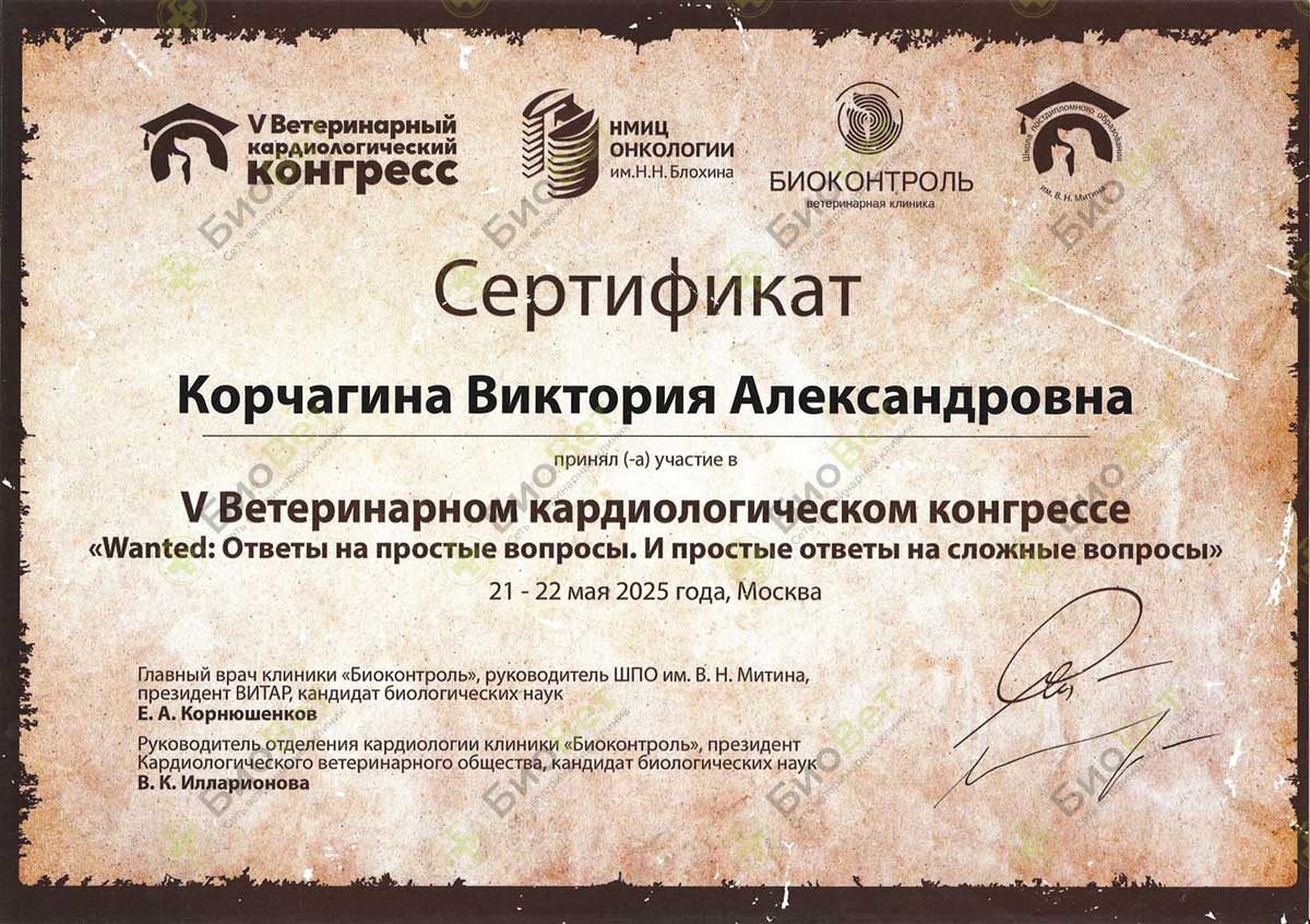 Документ или сертификат