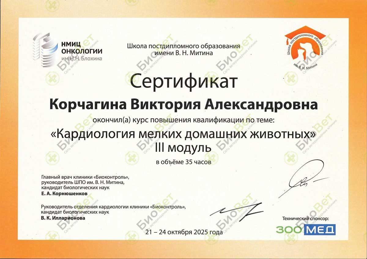 Документ или сертификат