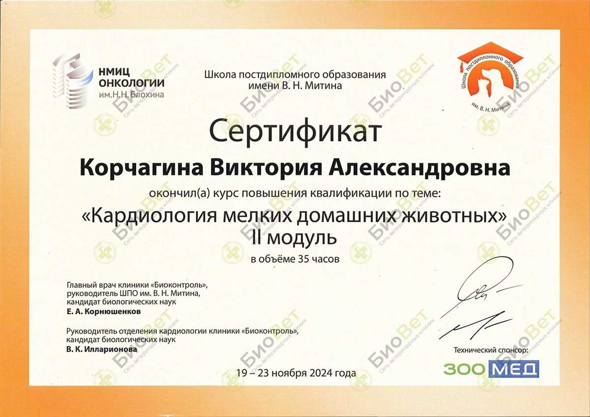 Документ или сертификат