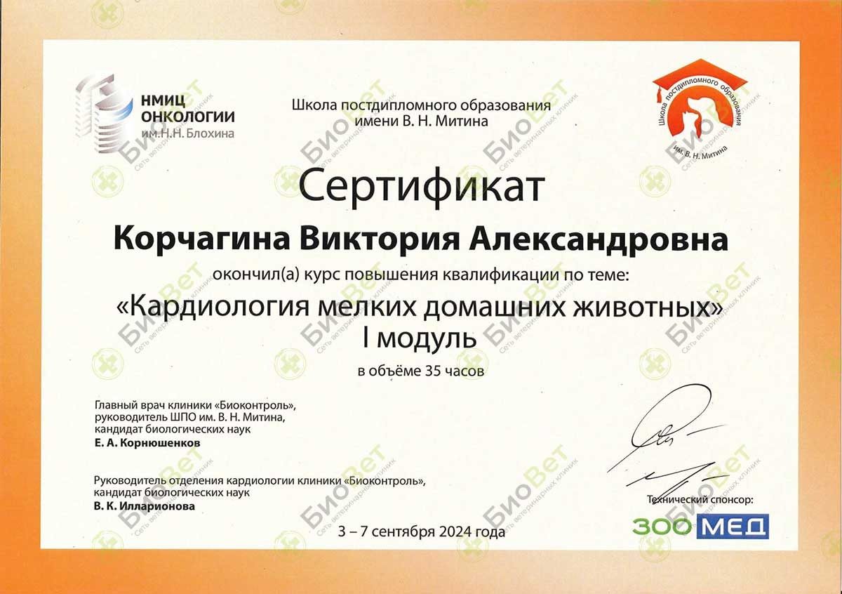 Документ или сертификат