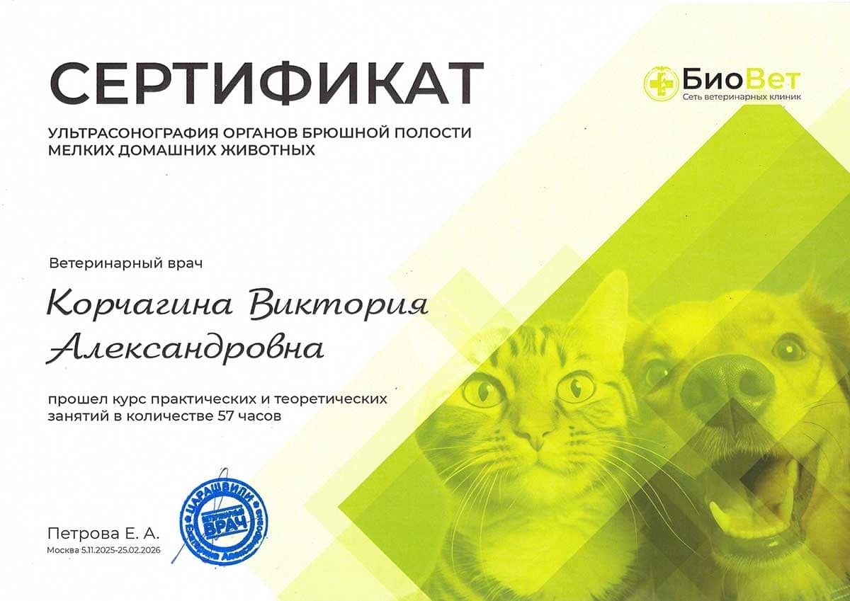 Документ или сертификат