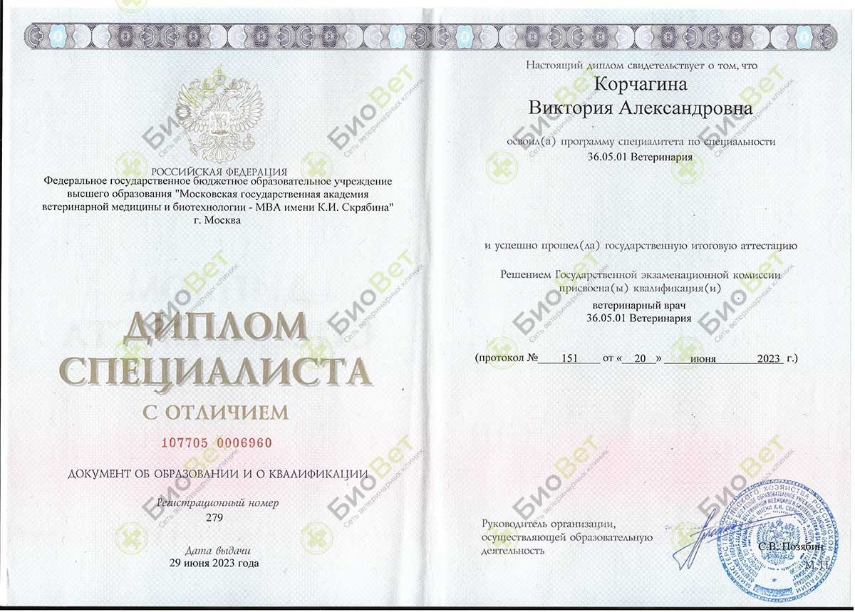 Документ или сертификат