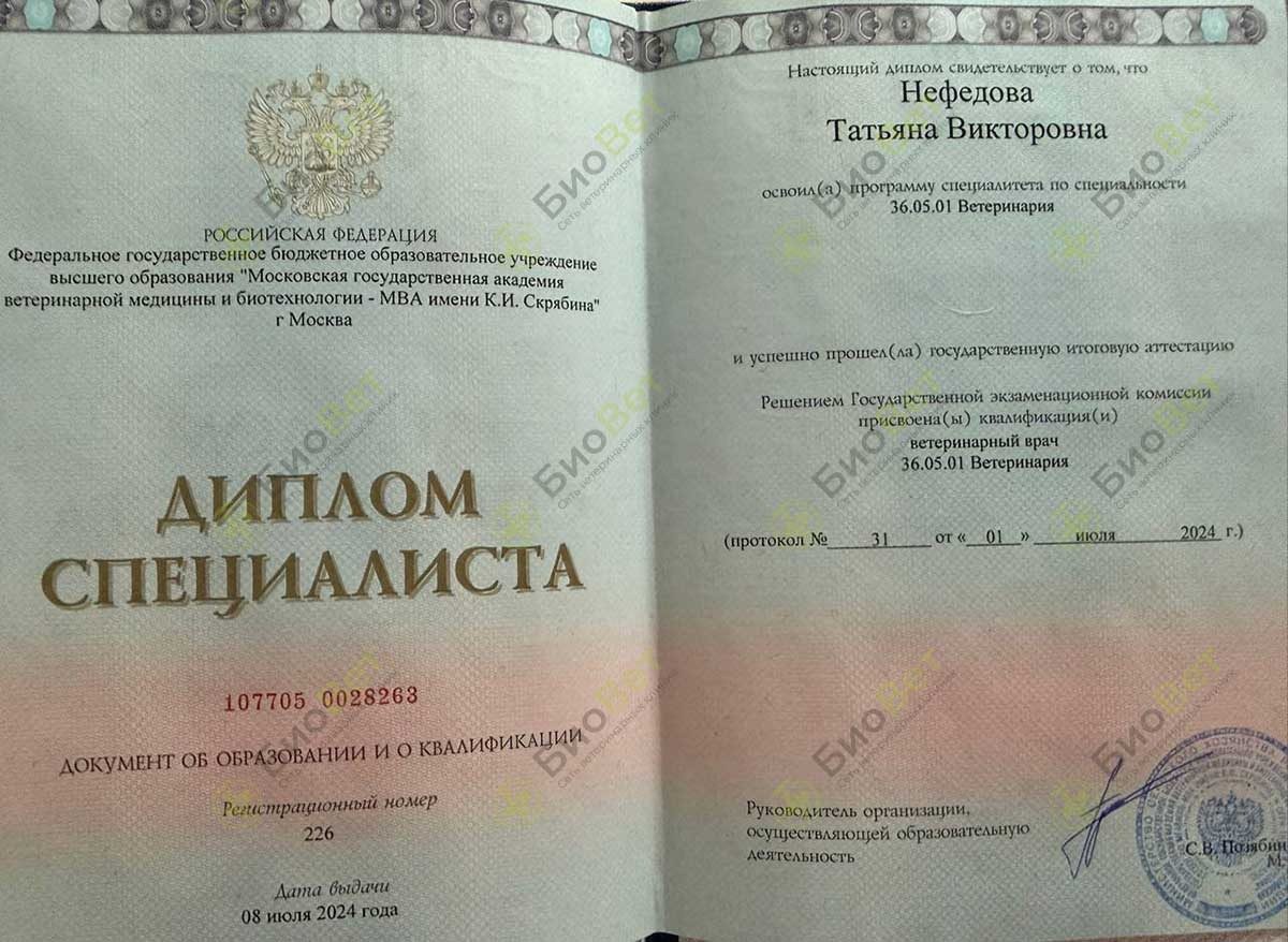 Документ или сертификат