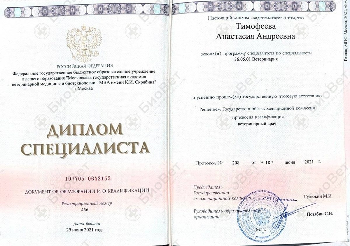 Документ или сертификат