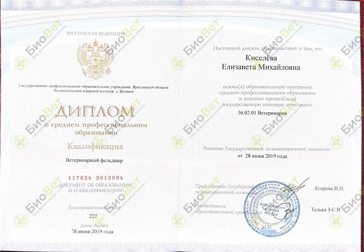 Документ или сертификат