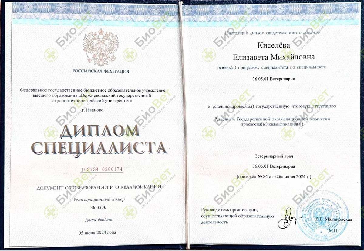 Документ или сертификат
