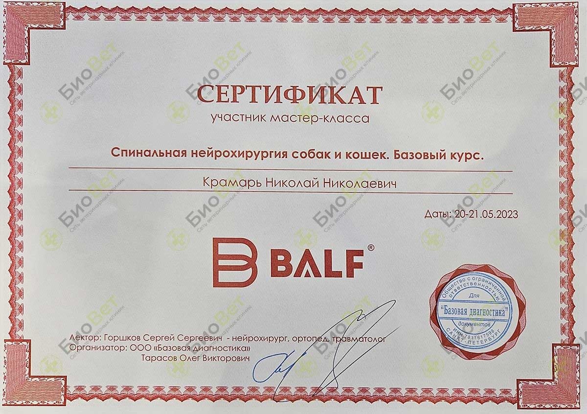 Документ или сертификат